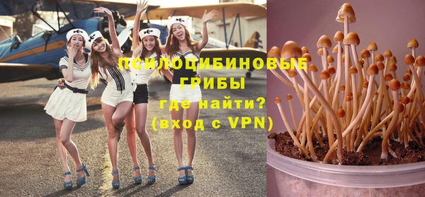 кокс Баксан