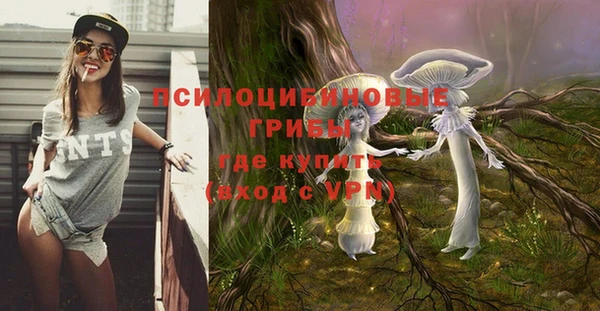 эйфоретик Балахна