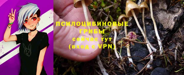 бутират Белоозёрский