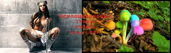 кокс Баксан