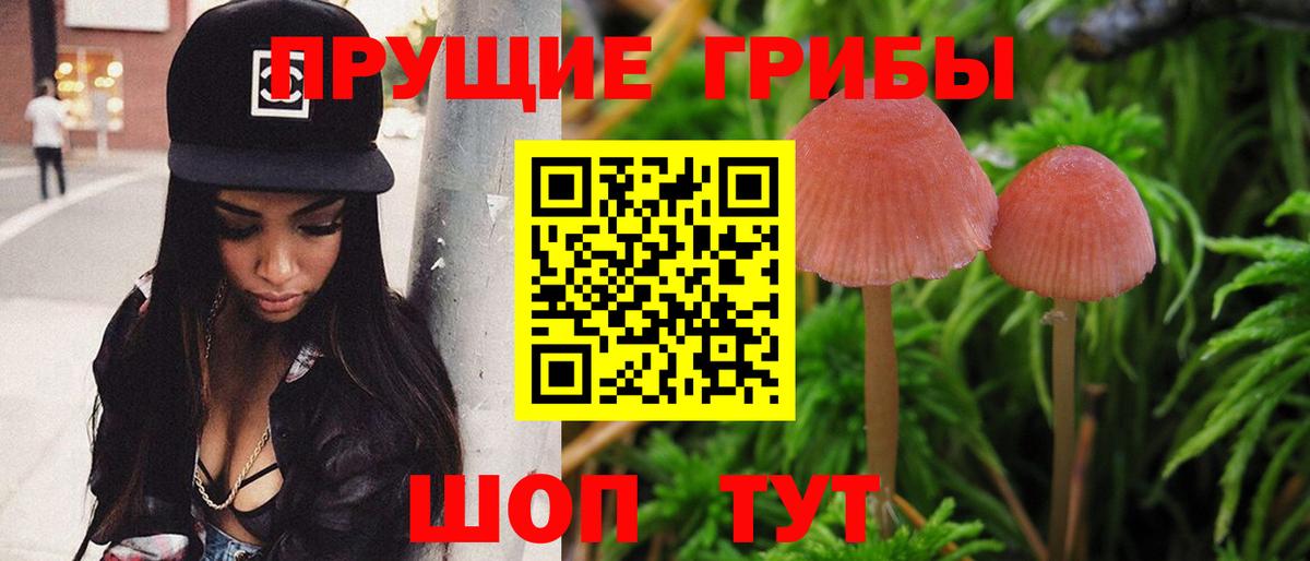 Печора  Галлюциногенные грибы ЛСД  как найти закладки  Вход с VPN 